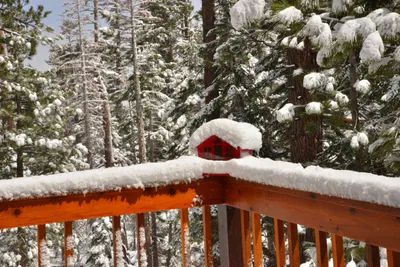 DSC_6659 (Large).JPG